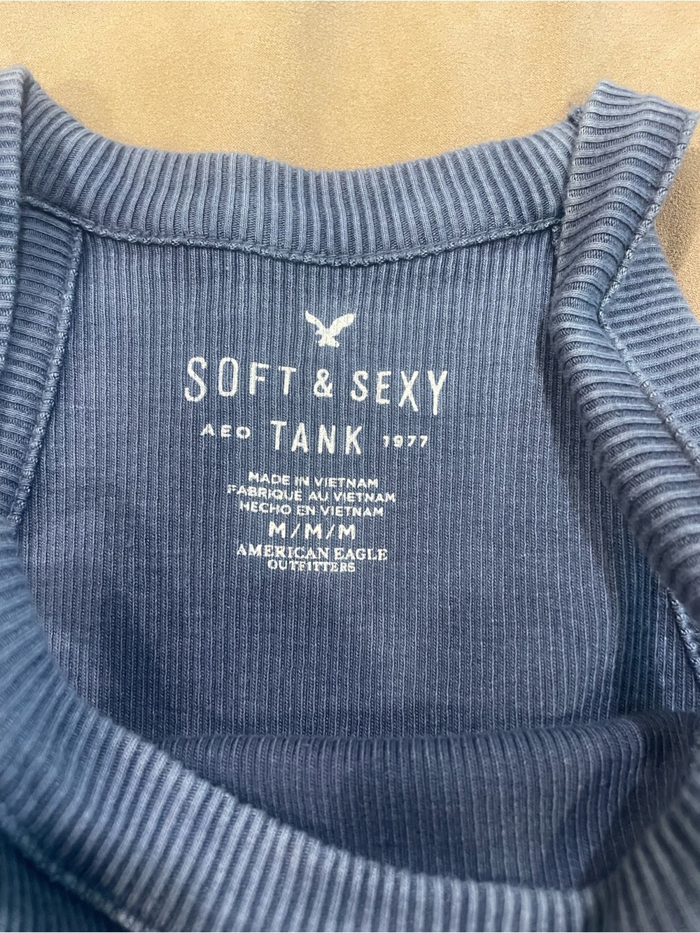 Lot of American Eagle Outfitters Tank Tops - Picture 9 of 14